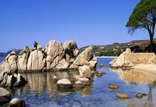 芒果体育:影视IP为中国冰雪热“添把火”.